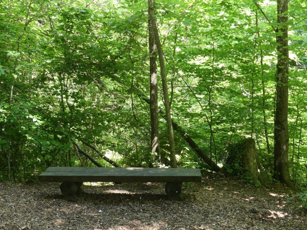 banc-2307