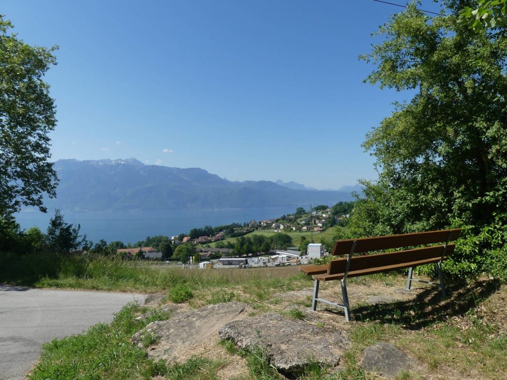 banc-2308