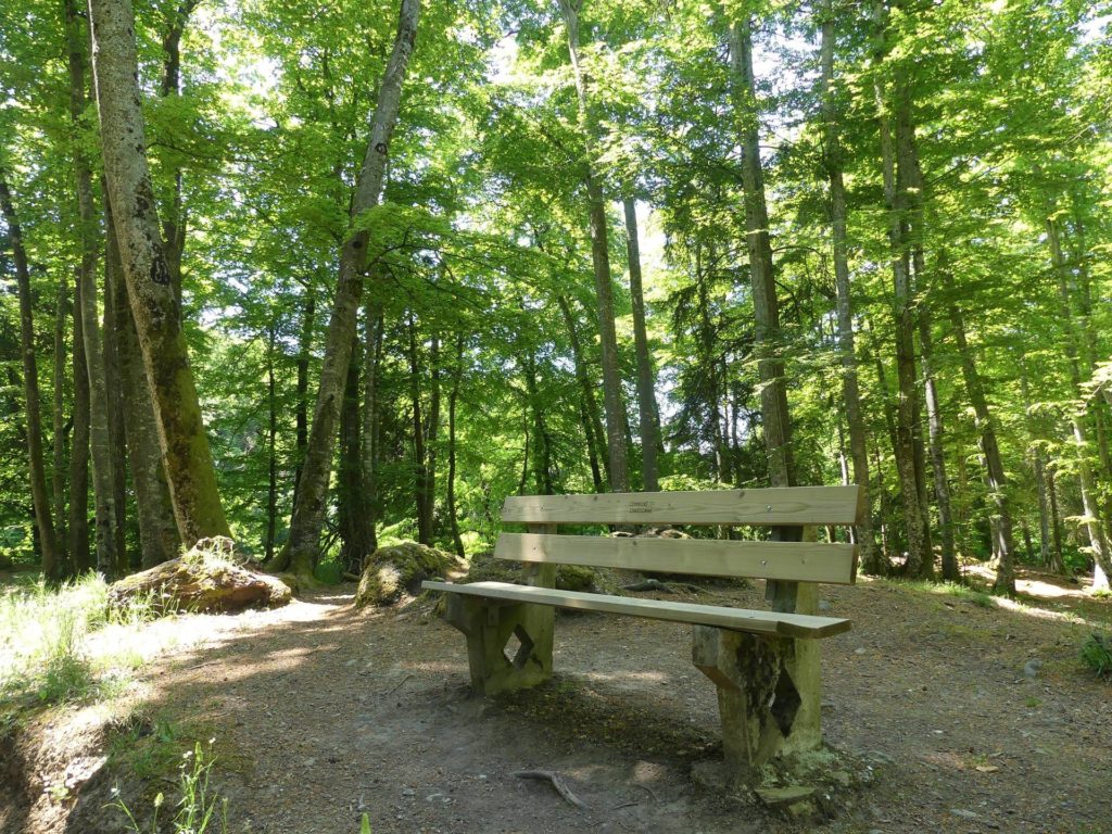 banc-2319