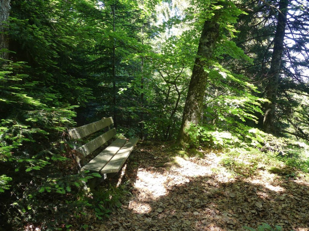 banc-2320