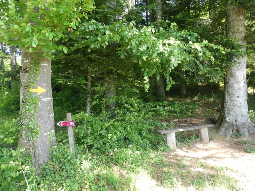 banc-2331