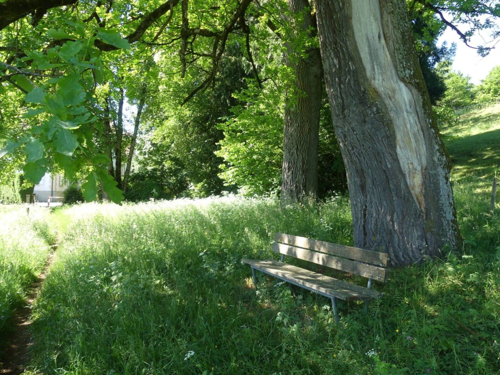 banc-2343