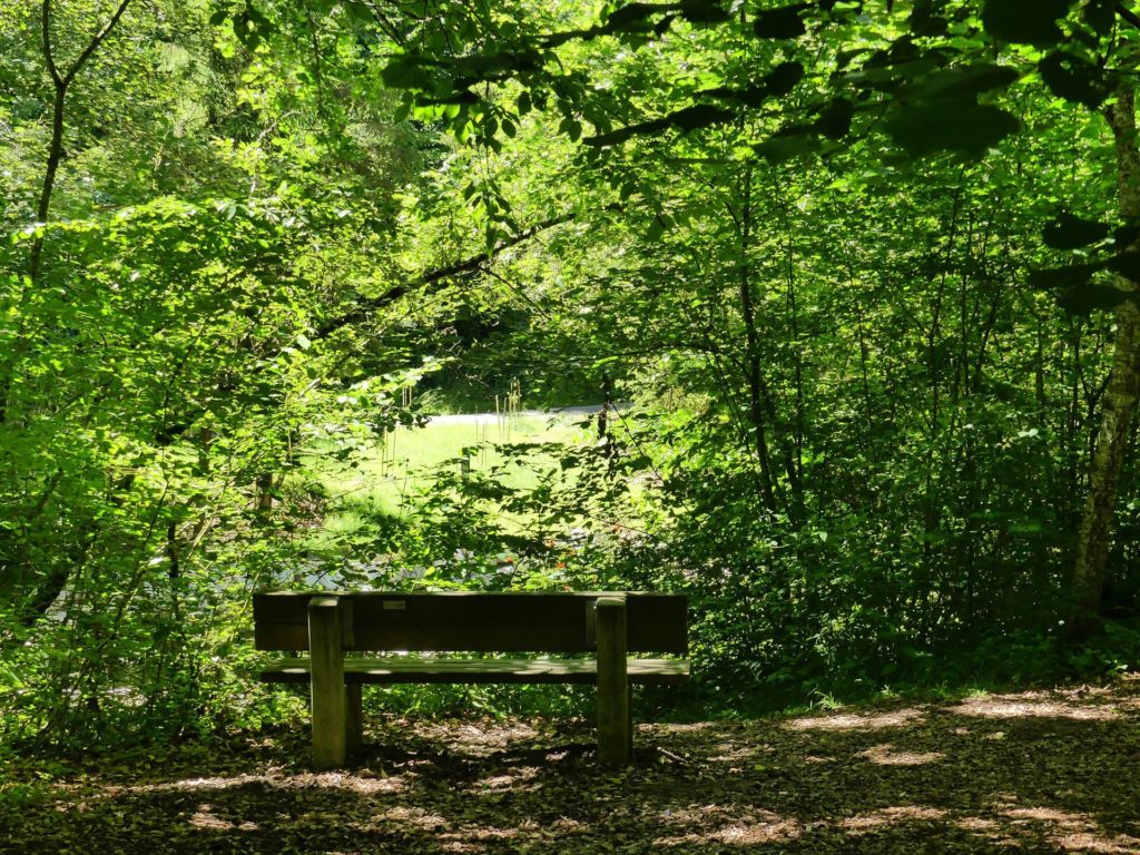 banc-2356