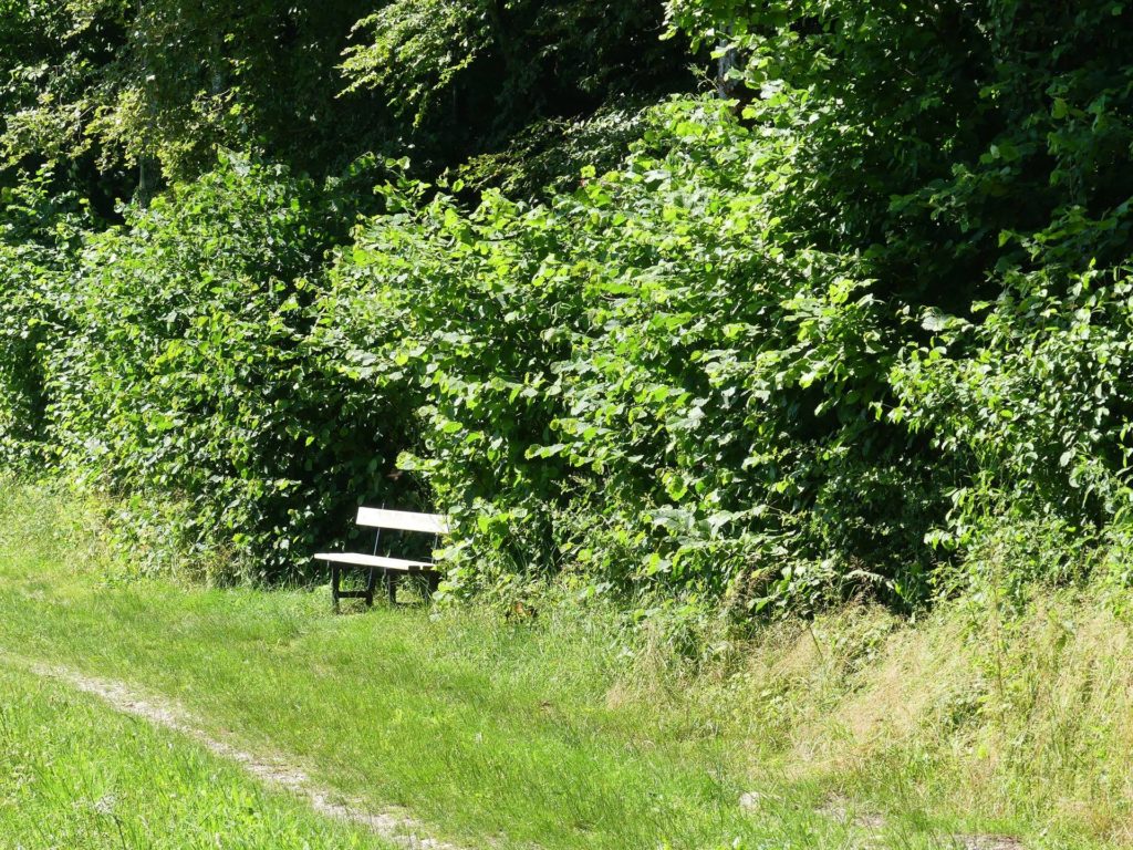 banc-2359