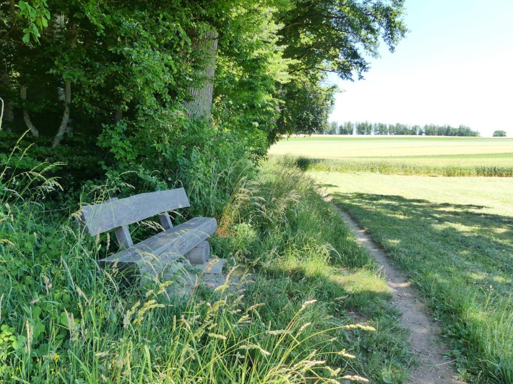 banc-2362