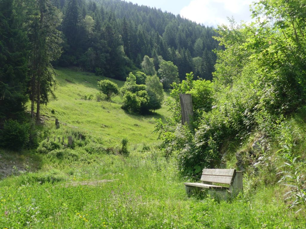 banc-2365