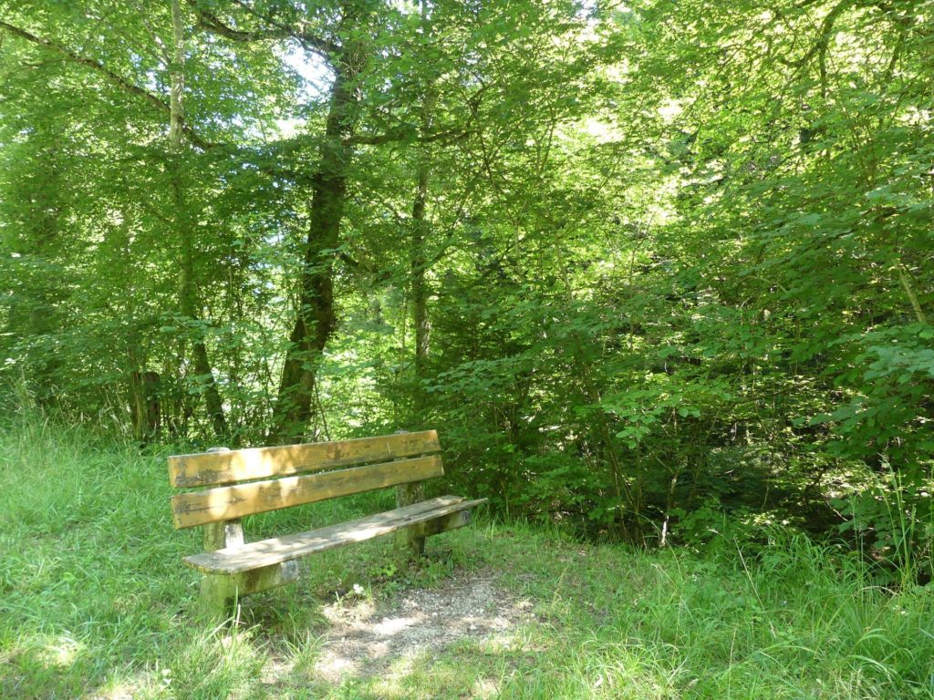 banc-2377