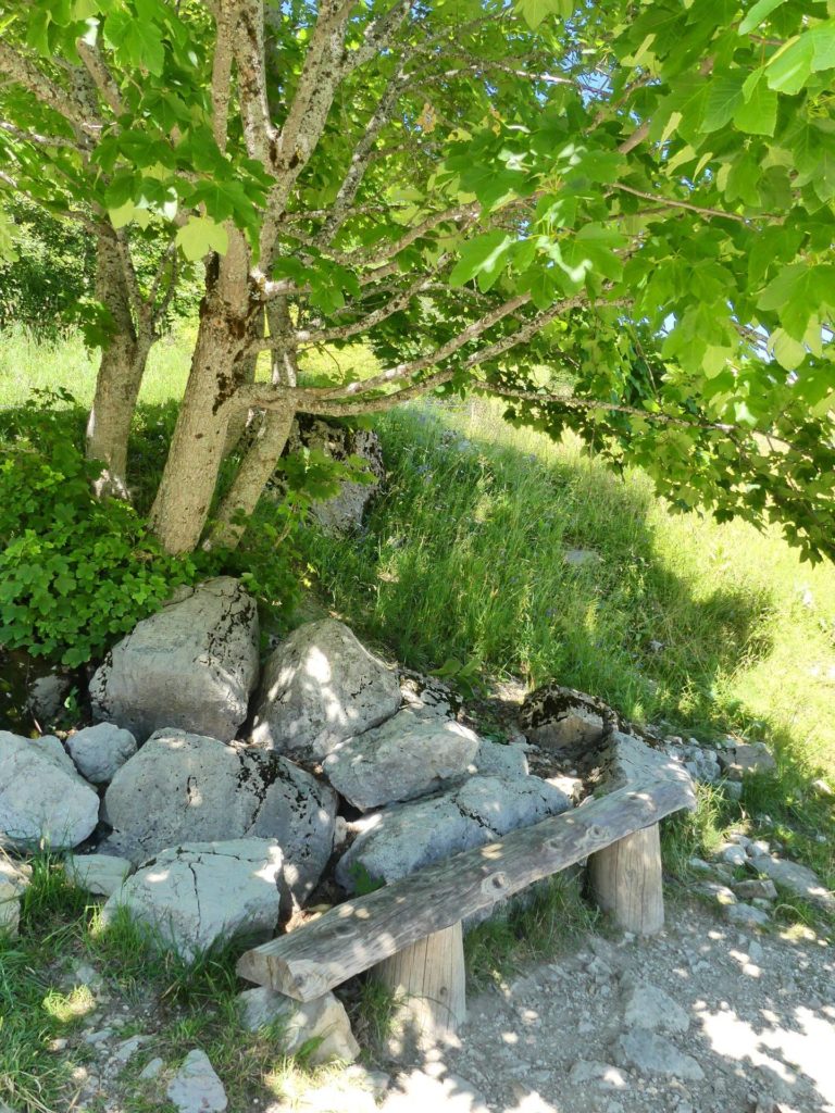 banc-2393
