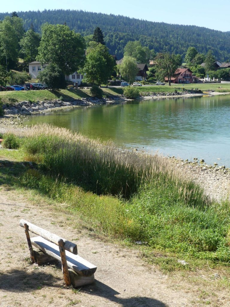 banc-2407