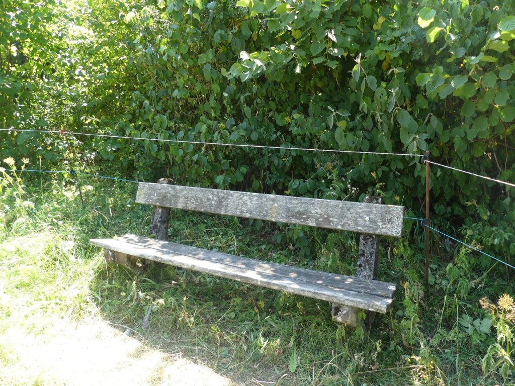 banc-2409