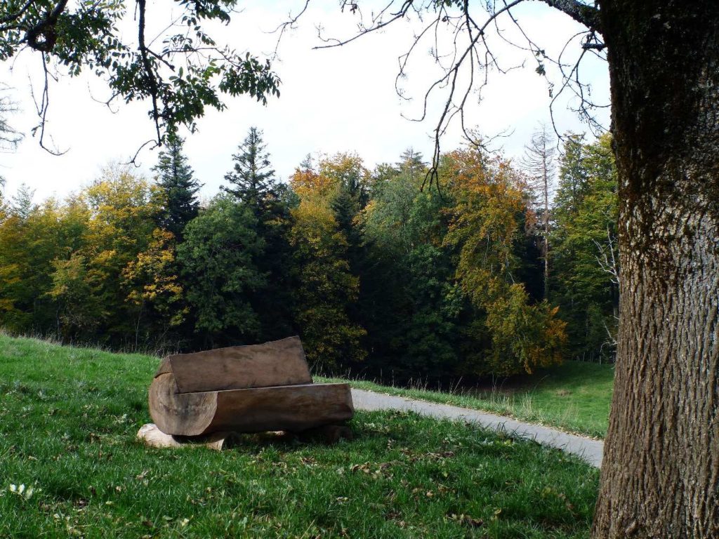 banc-241
