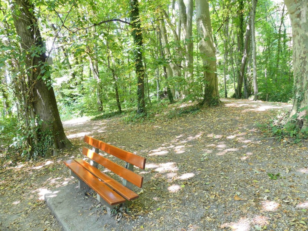 banc-2411