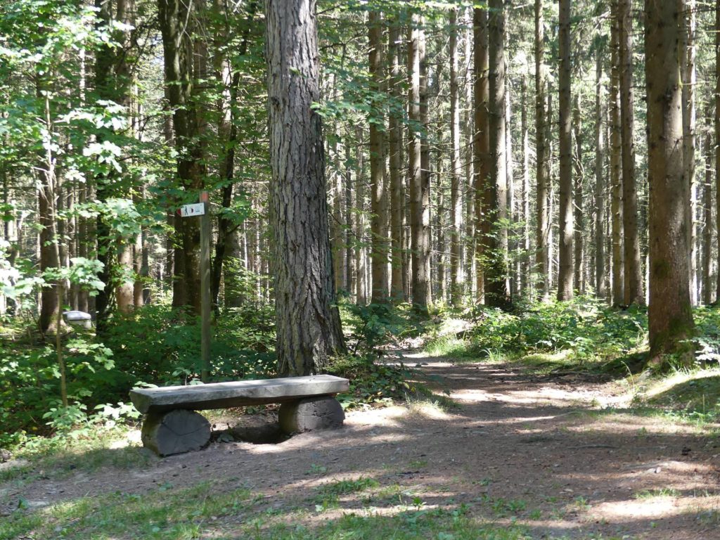banc-2418