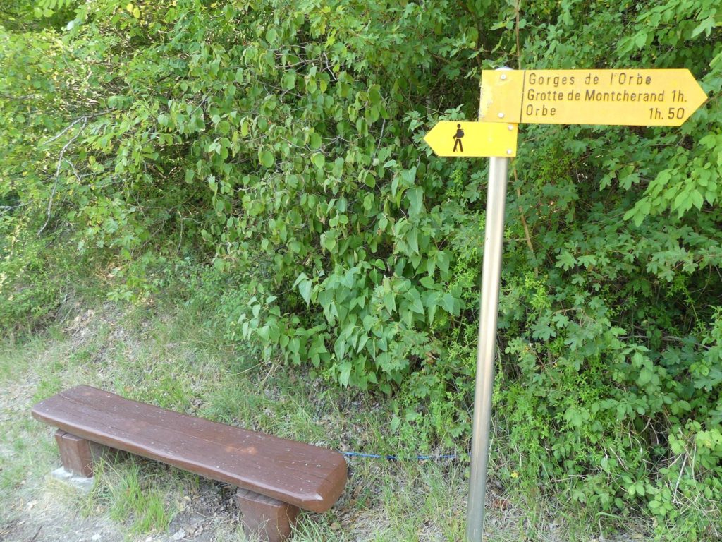 banc-2429