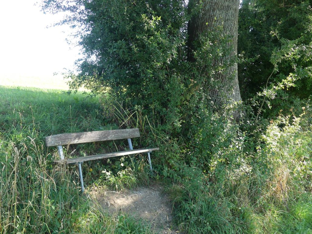 banc-2441