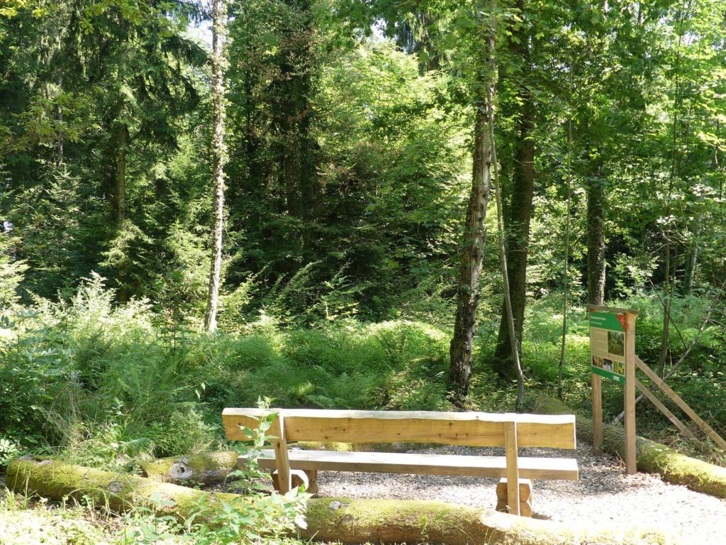 banc-2448