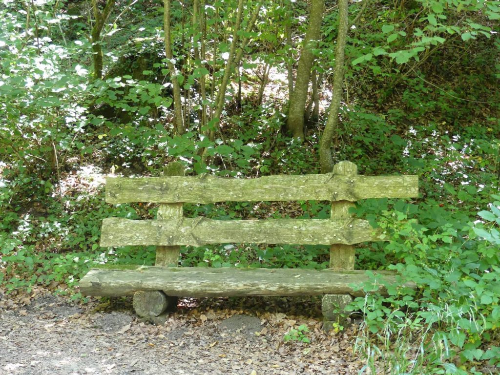 banc-2449