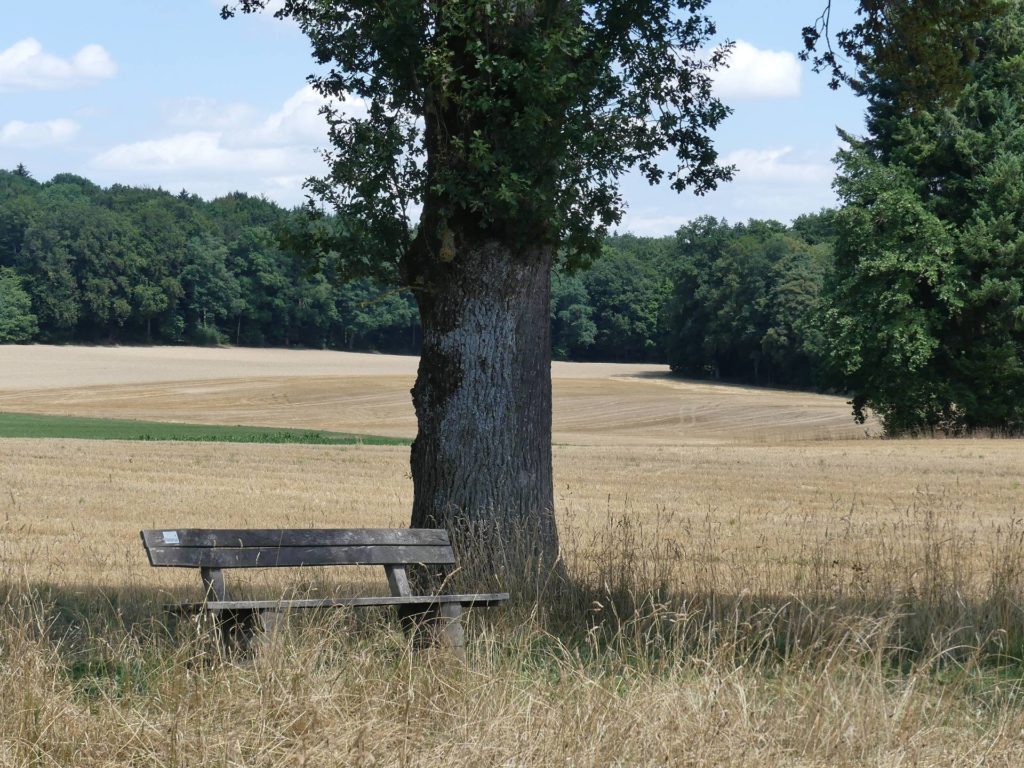 banc-2451