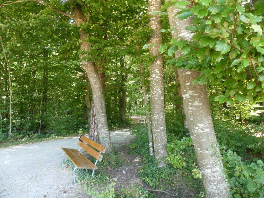 banc-2452