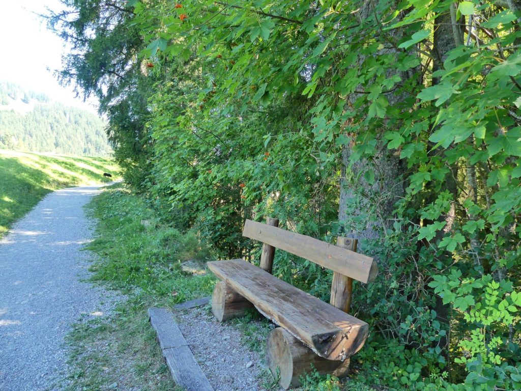 banc-2460