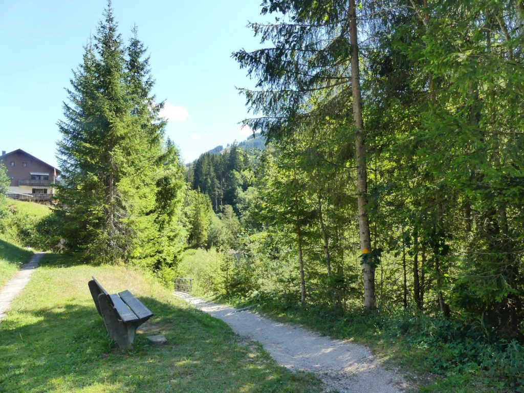 banc-2464