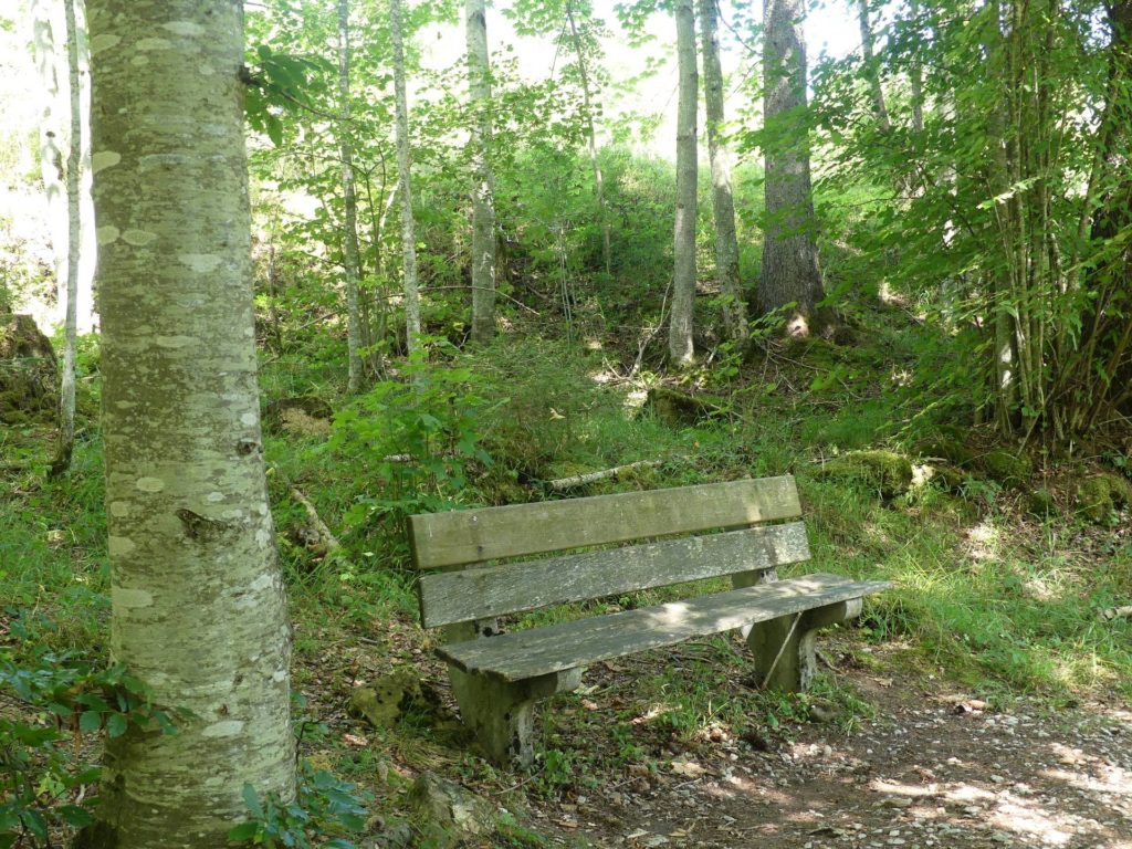 banc-2465