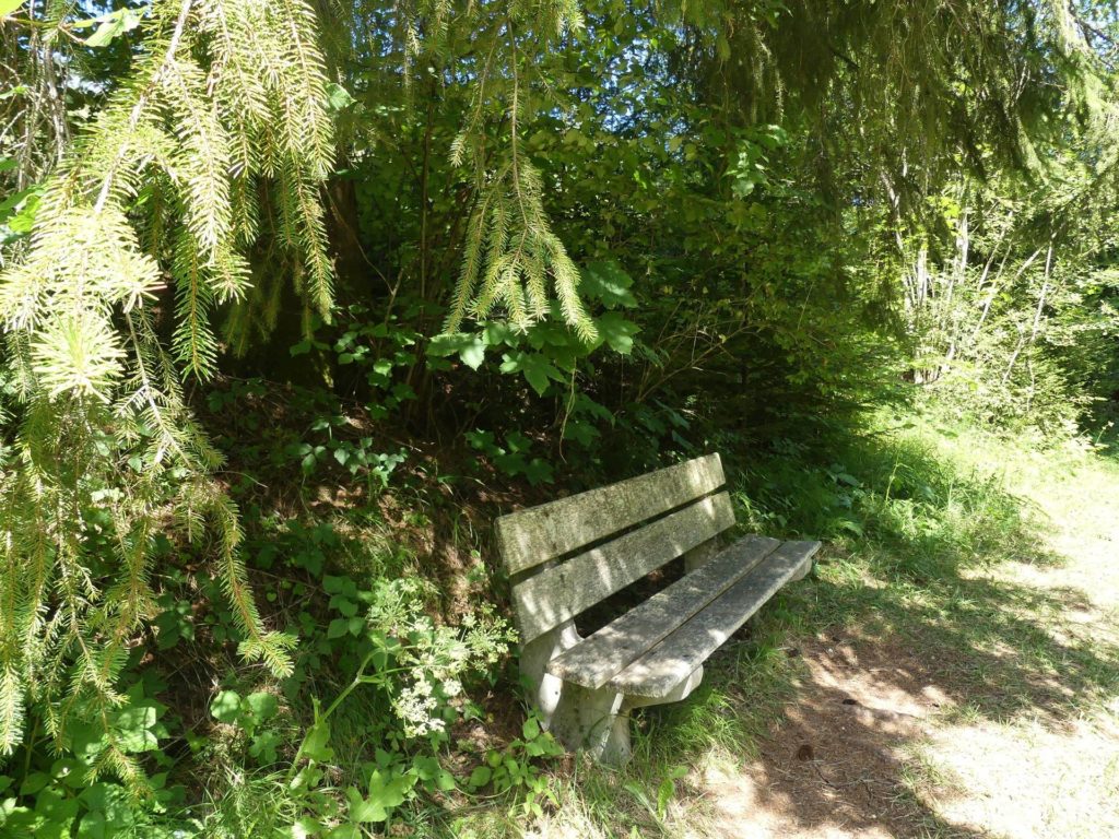banc-2466