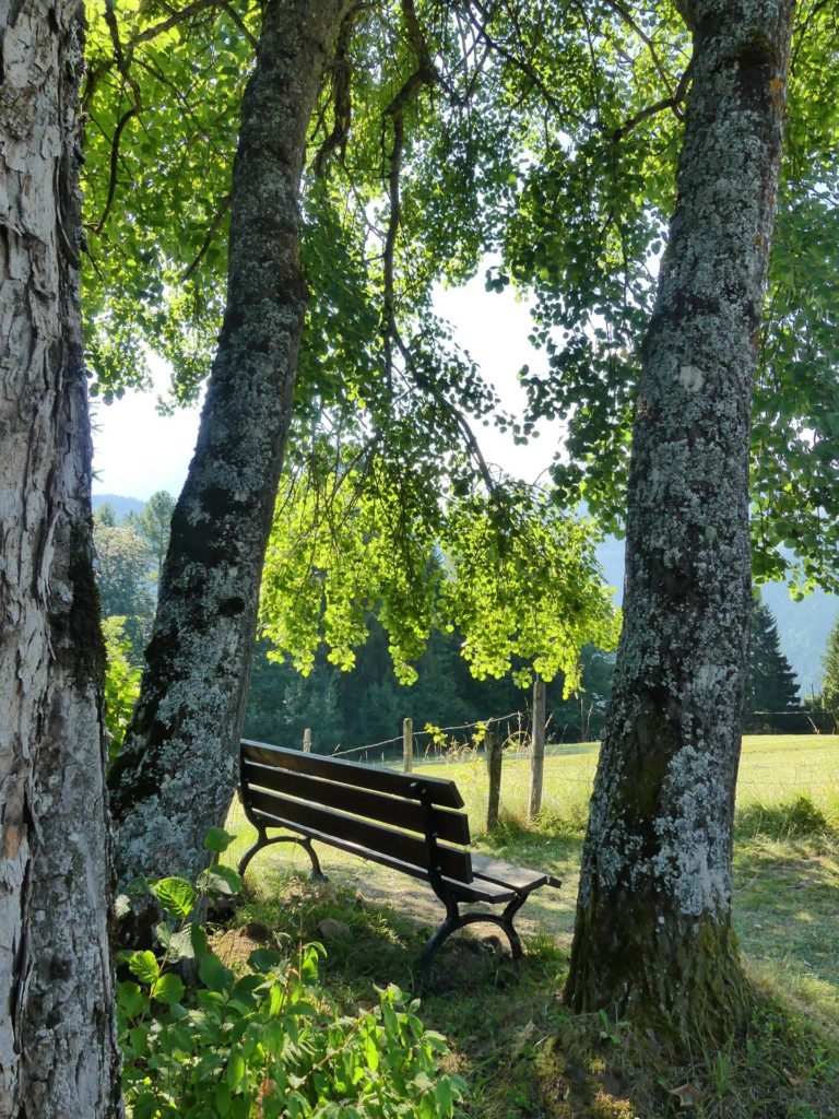 banc-2479