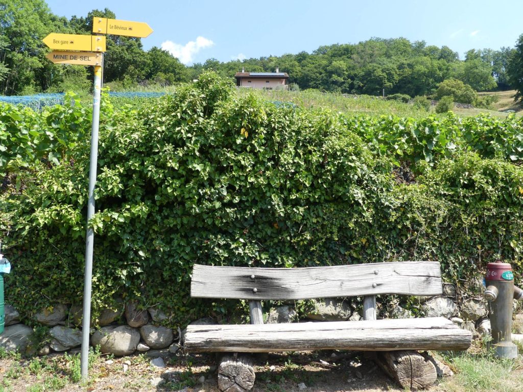 banc-2482