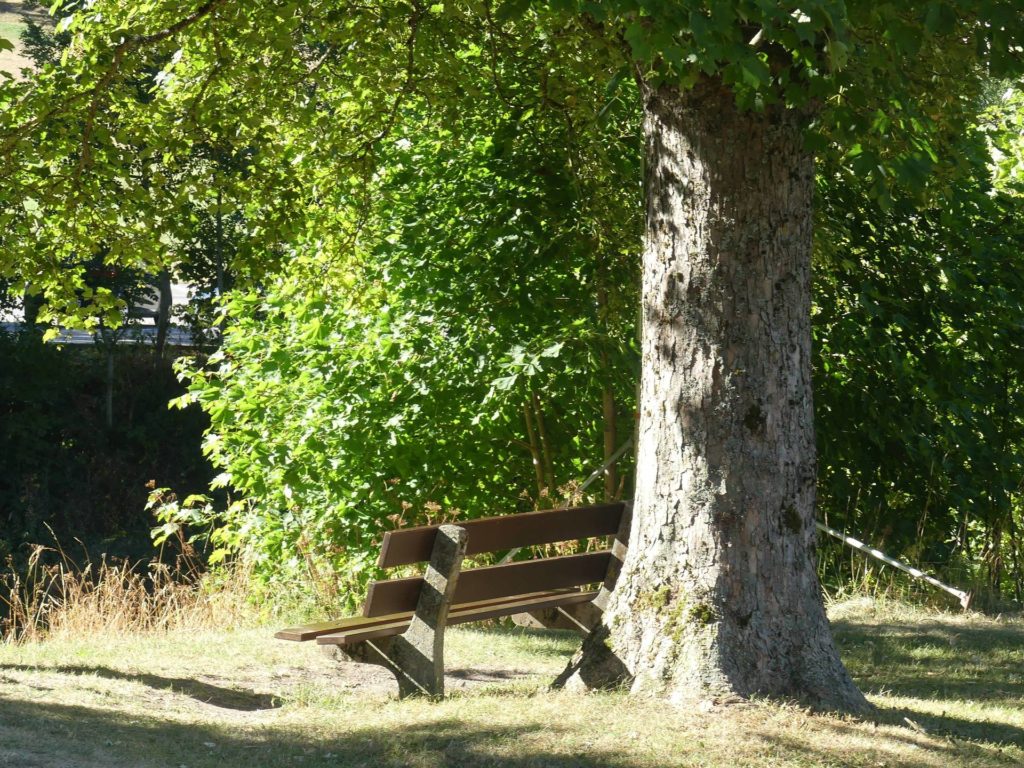 banc-2489