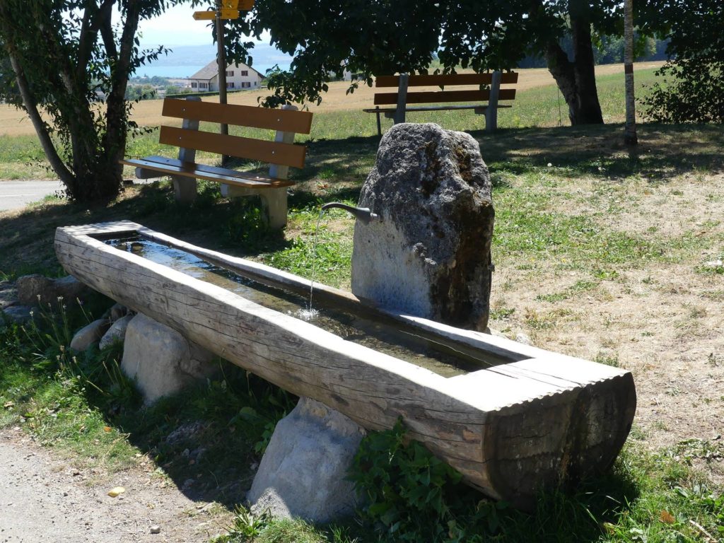 banc-2493