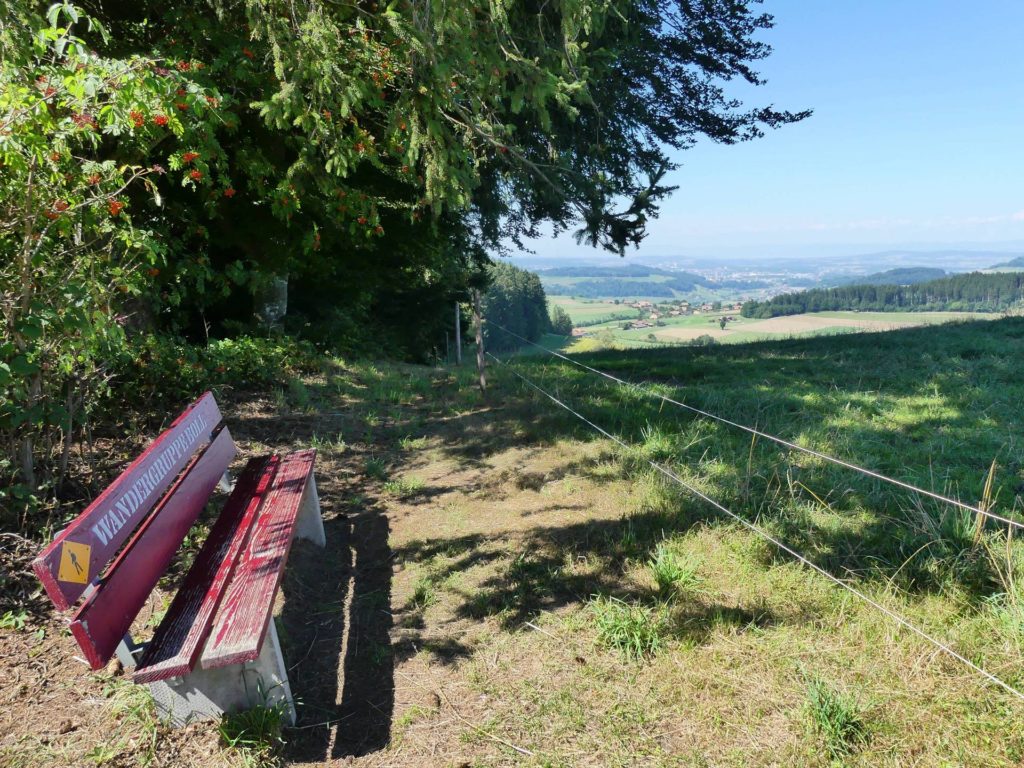banc-2502