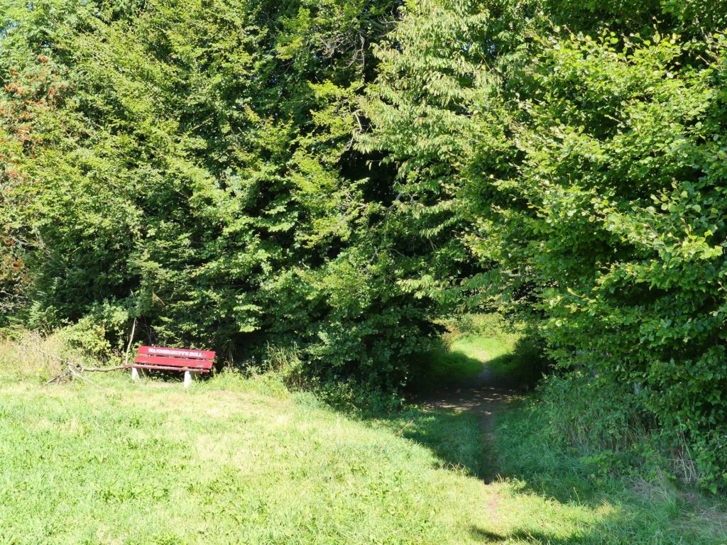 banc-2503