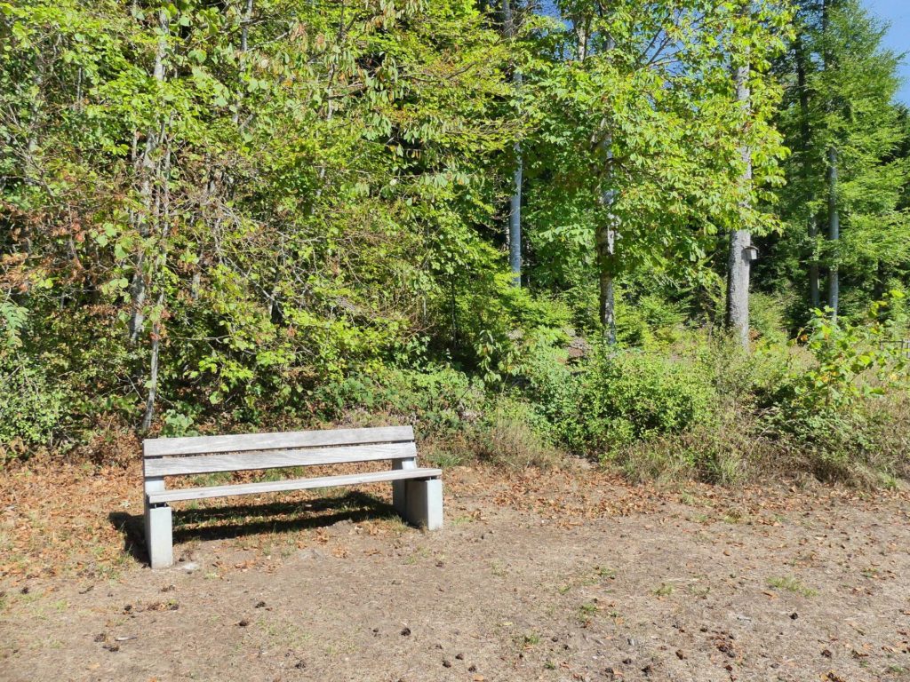 banc-2512