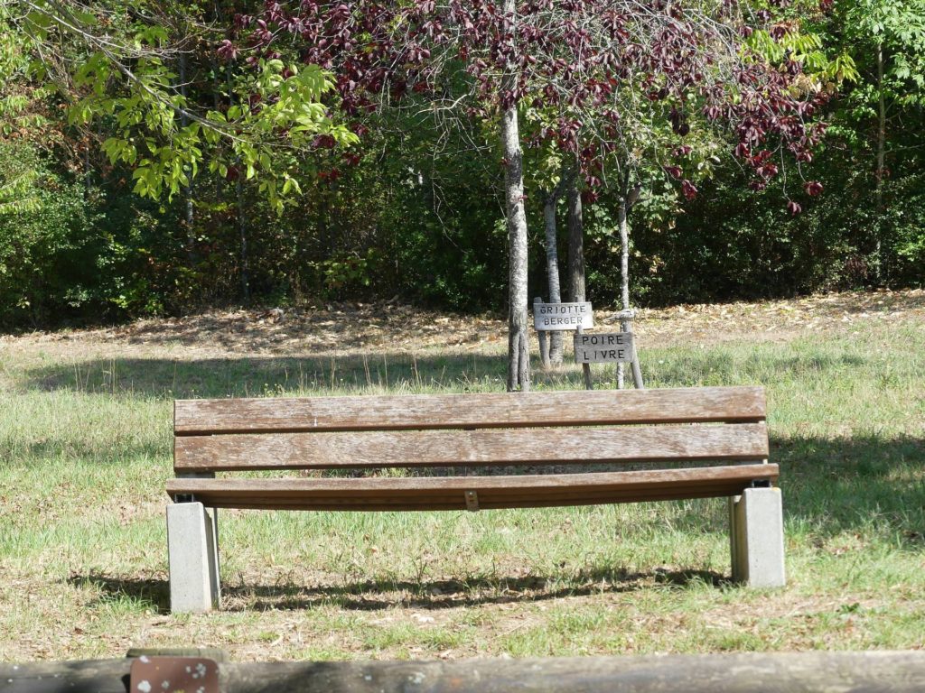 banc-2513