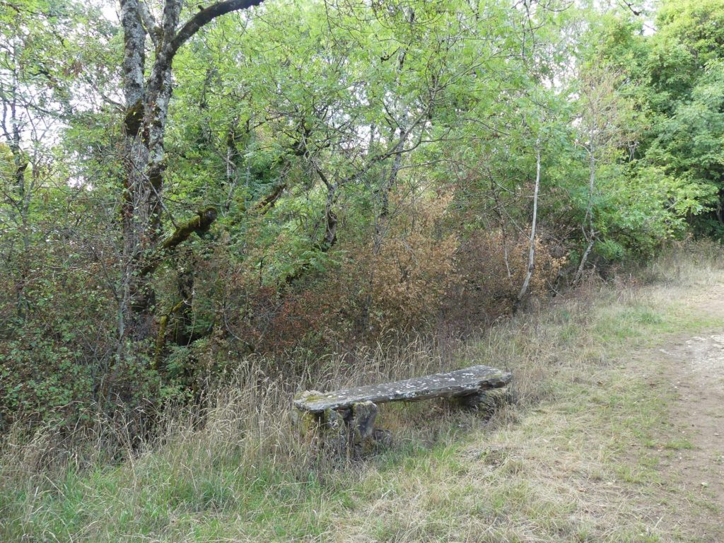 banc-2516