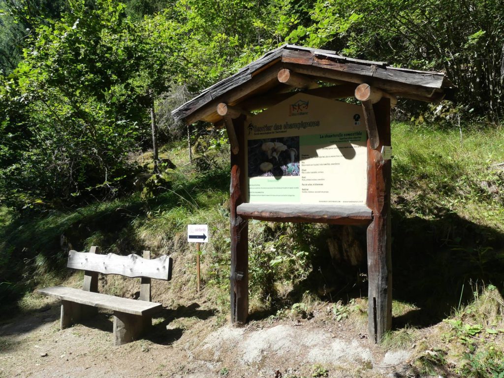 banc-2523