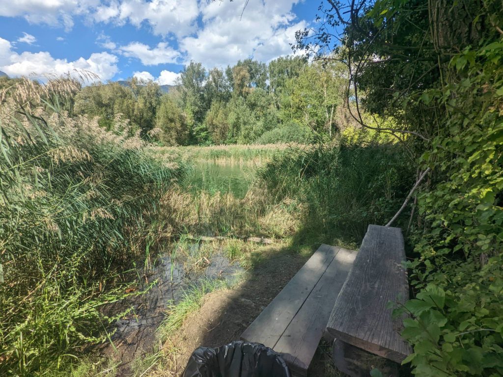 banc-2533