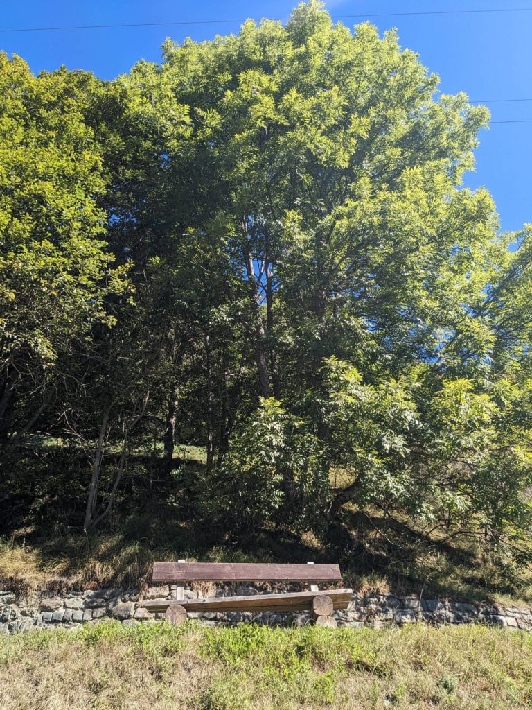 banc-2544