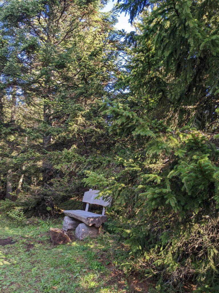 banc-2551