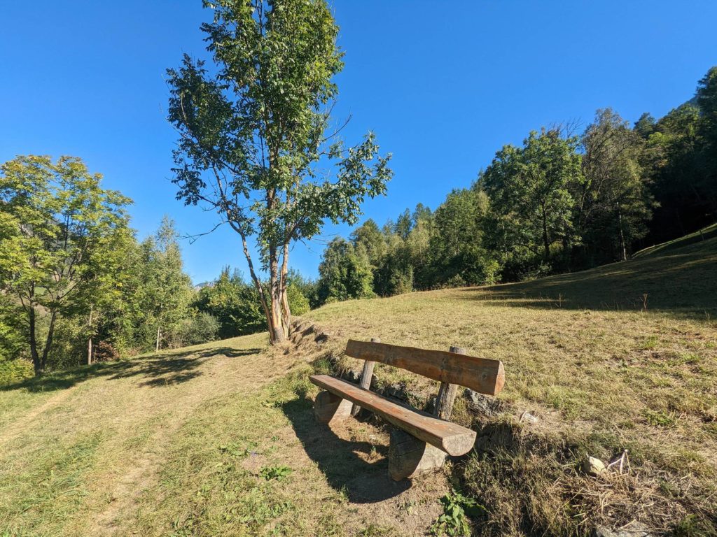 banc-2557