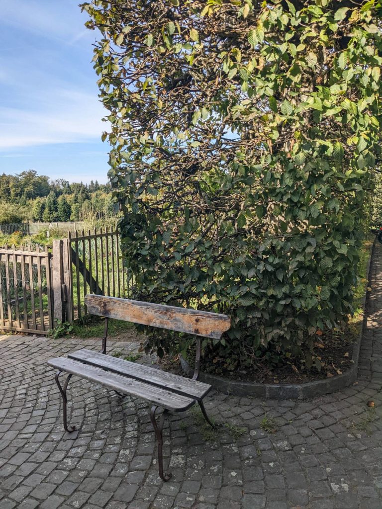 banc-2567