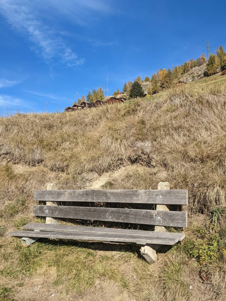 banc-2584