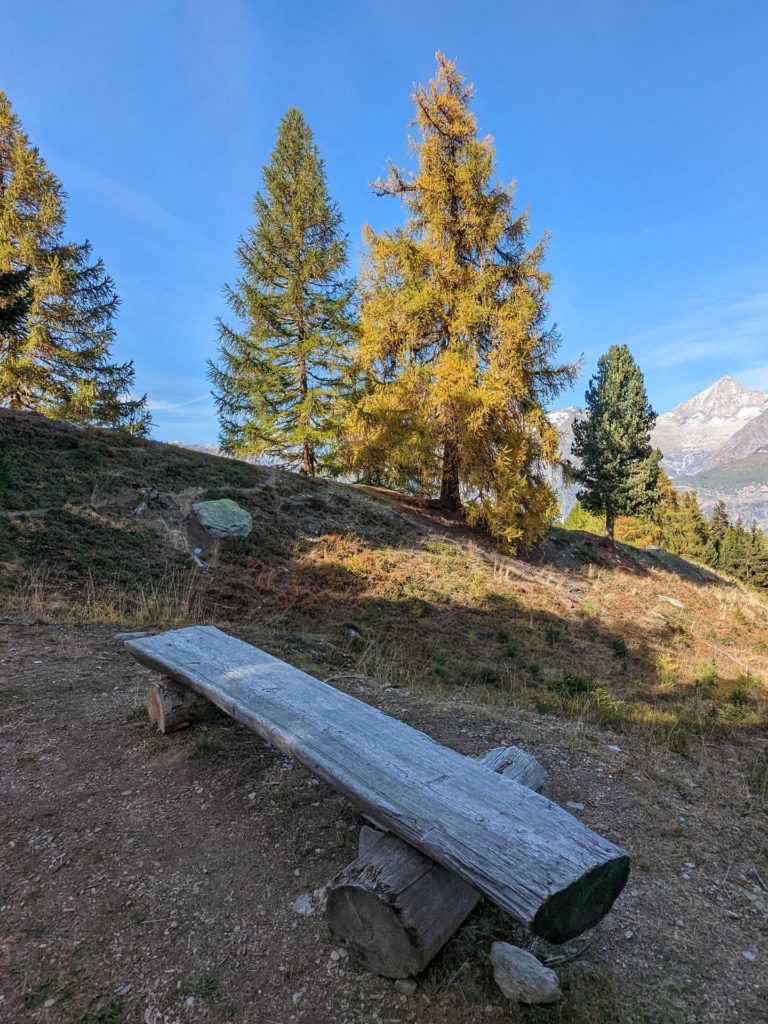 banc-2589