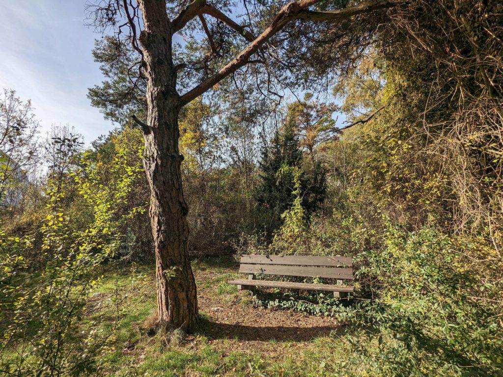 banc-2606