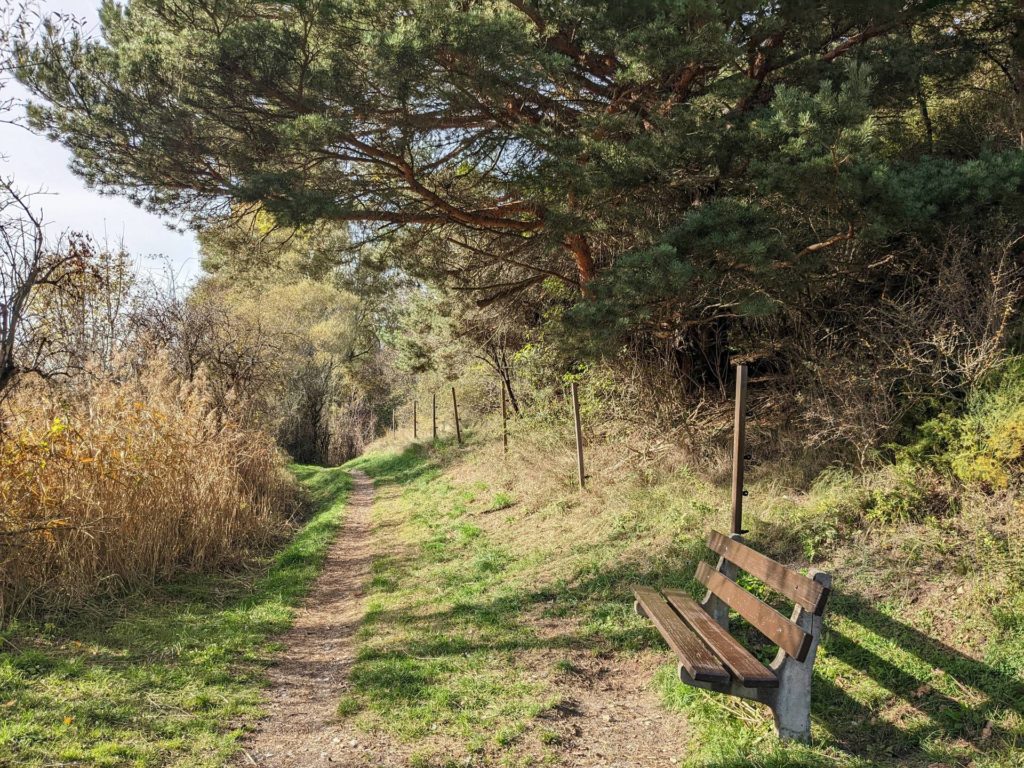 banc-2607