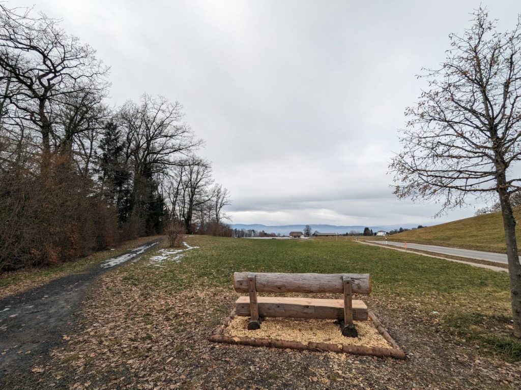 banc-2618