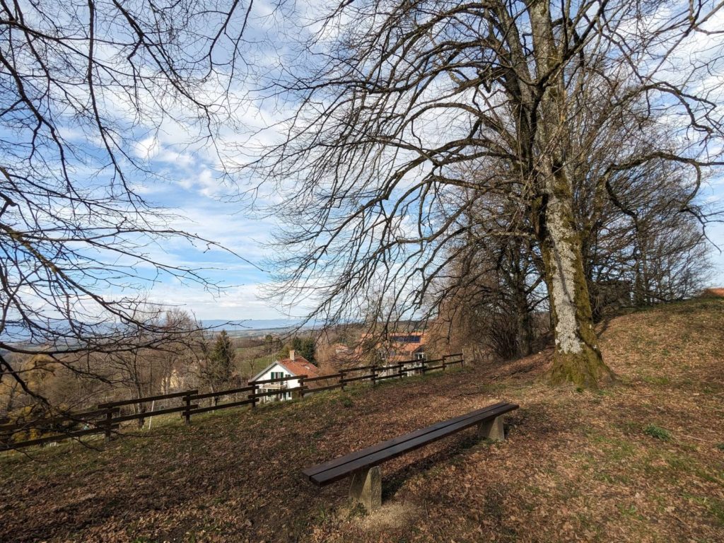 banc-2649