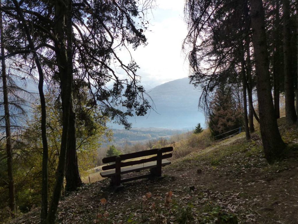 banc-267