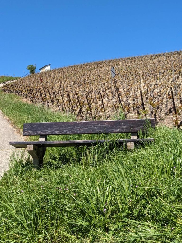 banc-2674